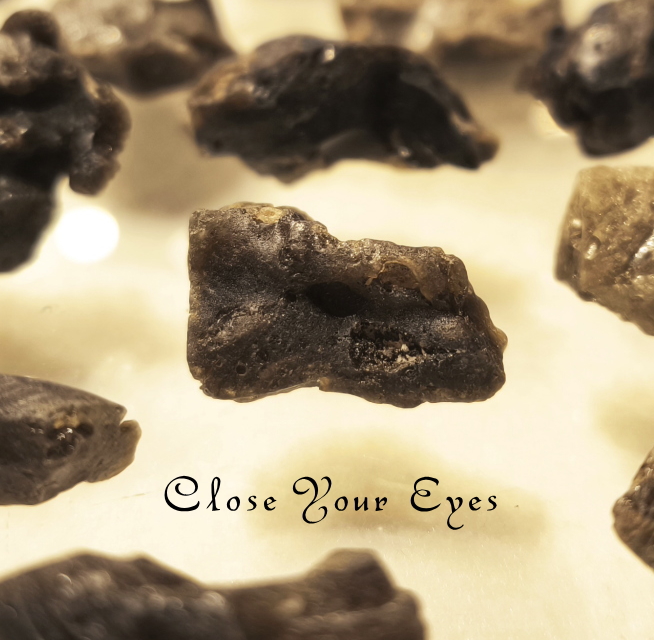 ダーウィングラス　イメージ画像