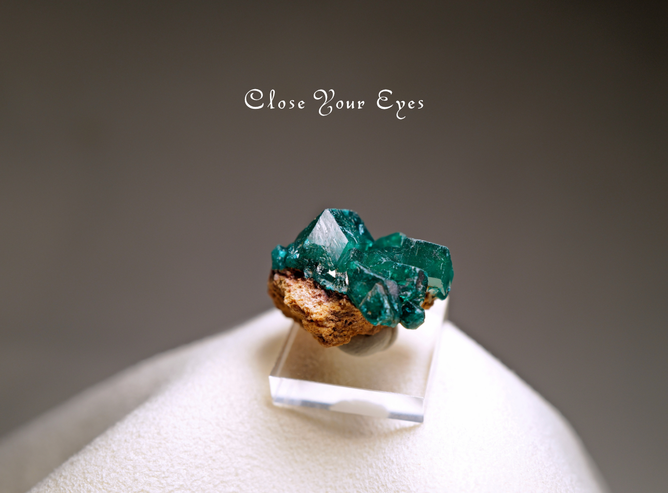 コンゴ産　ダイオプテーズ　０３