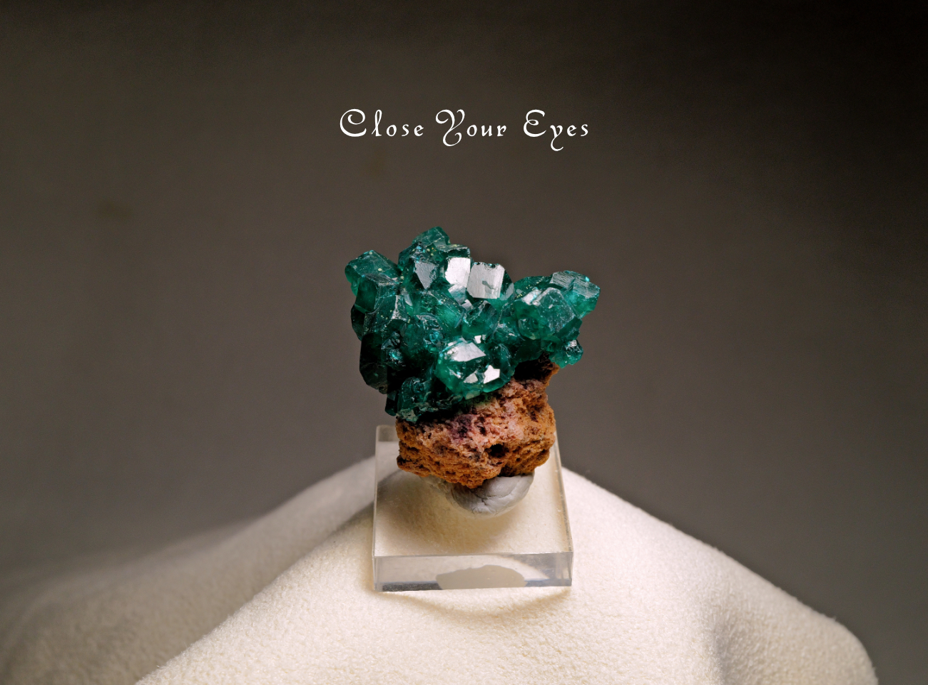 コンゴ産　ダイオプテーズ　０４