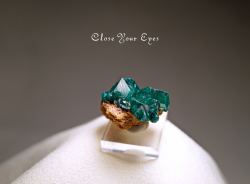 コンゴ産　ダイオプテーズ　０３