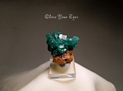 コンゴ産　ダイオプテーズ　０４