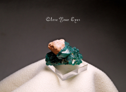 コンゴ産　ダイオプテーズ　０６