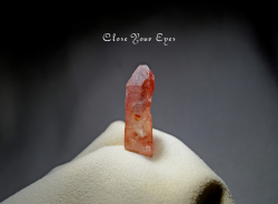 ピンク レムリアンシード 2個 天然石 ブラジル産 台座付き ピンクレムリアンシード ブラジル産 レムリアンシード