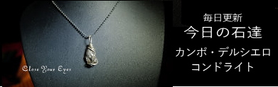 隕石ペンダント　カンポ・デルシエロ、コンドライト