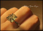 イングリッシュフローライト　０１