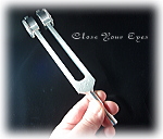 ＢＩＯＳＯＮＩＣＳ社製　惑星のチューナー　地球：Earth