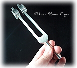 ＢＩＯＳＯＮＩＣＳ社製　惑星のチューナー　土星：Ｓａｔｕｒｎ