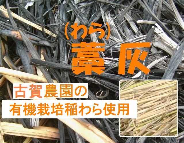 有機栽培稲わら使用　藁灰