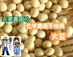 古賀農園　国産（佐賀県産）化学農薬不使用大豆１ｋｇ【無添加食品・自然食品】