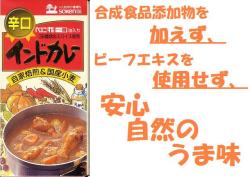 創建社　辛口インドカレー