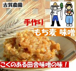 無農薬、自家栽培のもち麦と大豆使用　古賀農園　手作りもち麦みそ！しっかりとコクのある田舎みその味