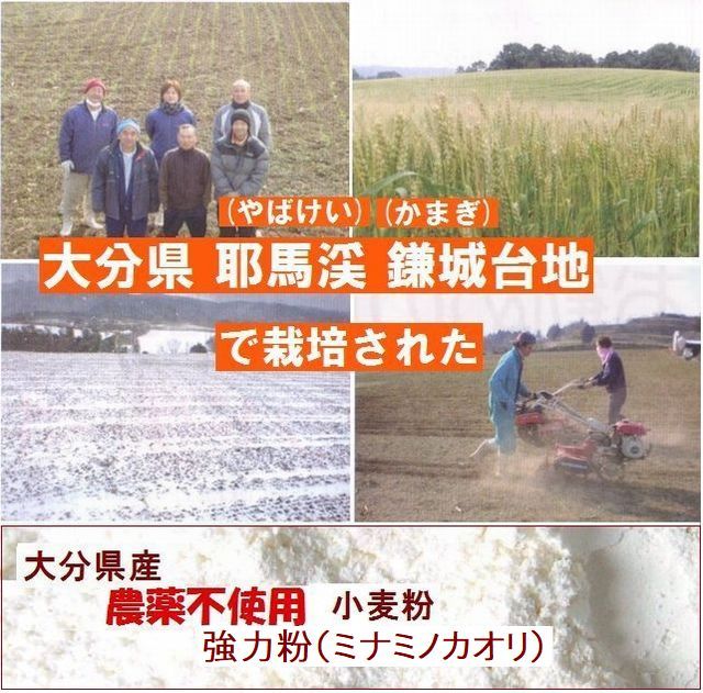 下郷農協　大分県産　無農薬栽培　小麦（ミナミノカオリ）　強力粉