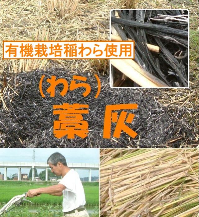 有機栽培稲わら使用　藁灰