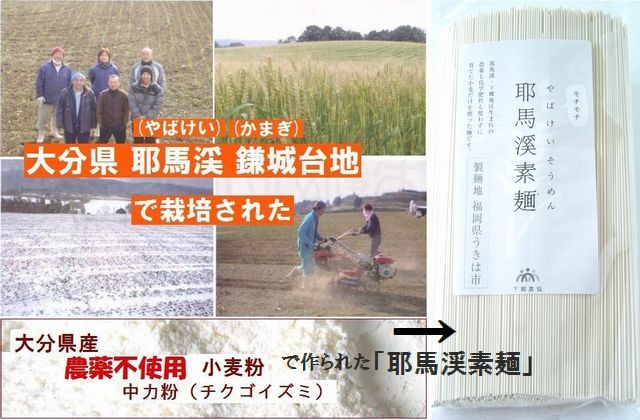 国産（大分県産）無農薬栽培小麦１００％　耶馬渓そうめん