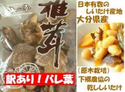 訳あり！下郷農協　国産原木栽培干ししいたけ300g