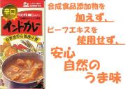 創建社　辛口インドカレー