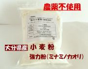 郷農協　大分県産　無農薬栽培　小麦（ミナミノカオリ）　強力粉　パン、ピザ生地