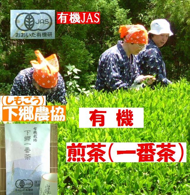 あっさりまろやか　下郷農協　有機煎茶（一番茶）１００ｇ【無添加食品・自然食品】