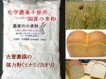 古賀農園の国産化学農薬不使用小麦粉　強力粉（ミナミノカオリ）１ｋｇ【無添加食品・自然食品】