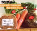 古賀農園　手作り米味噌と有機ＪＡＳ季節の野菜セット 【無添加食品・自然食品】