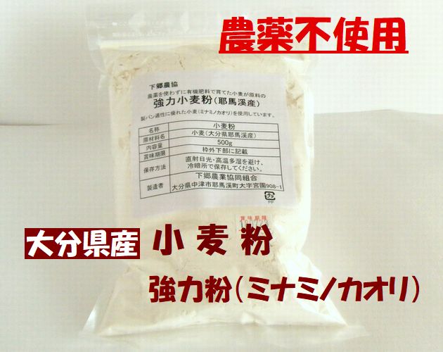 郷農協　大分県産　無農薬栽培　小麦（ミナミノカオリ）　強力粉　パン、ピザ生地