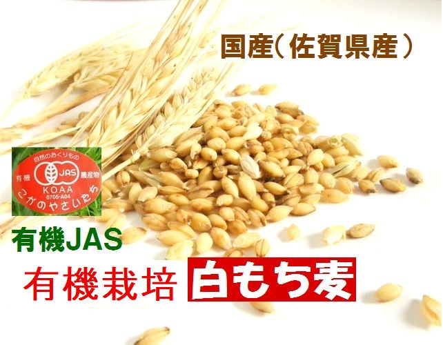 ご飯が美味しくなるモッチリ食感　 古賀農園 （佐賀県）有機白もち麦（玄麦）１ｋｇ【無添加食品・自然食品】