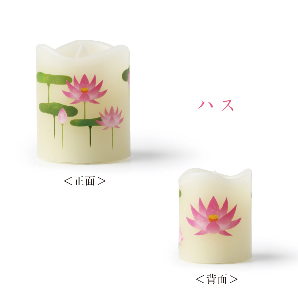 いろはあかりSS