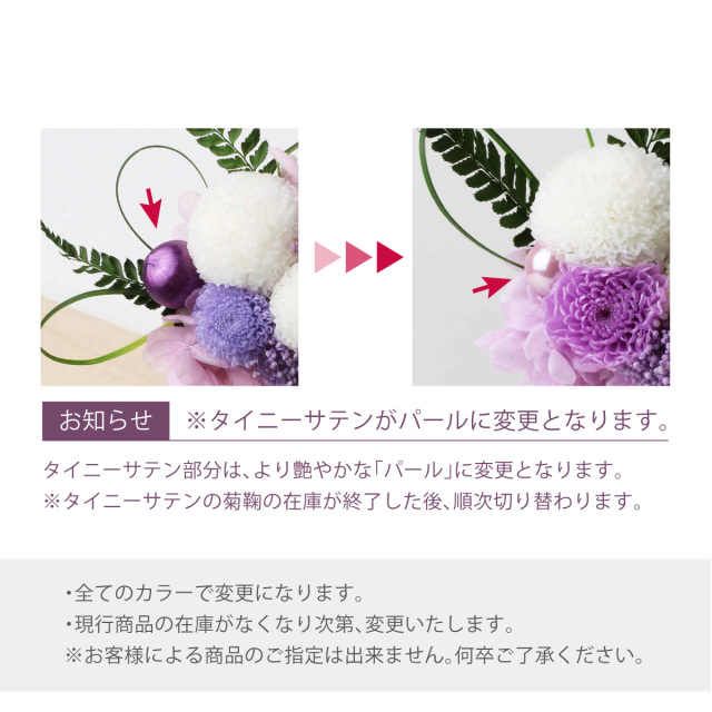 菊鞠