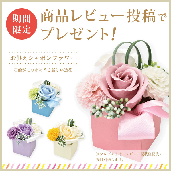 レビュープレゼント