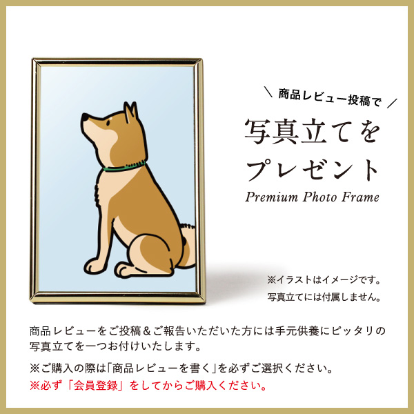 ペット仏壇 本体のみ 想いのステージ A4サイズ for Pets 〔高さ1.2 幅