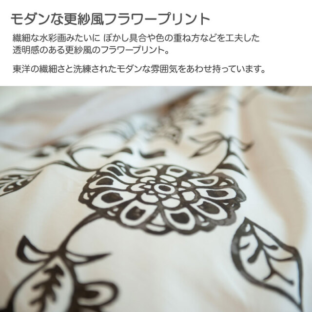 エイジア　おすすめポイント