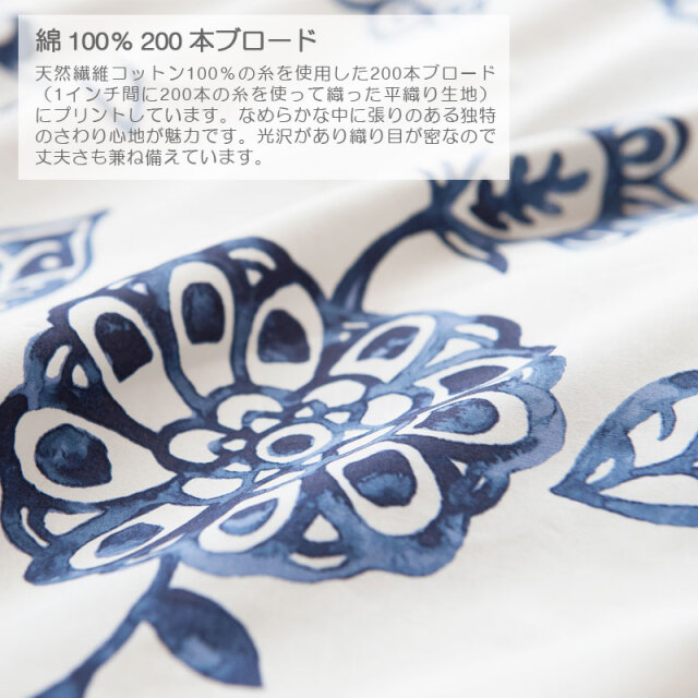 エイジア/ネイビー　おすすめポイント