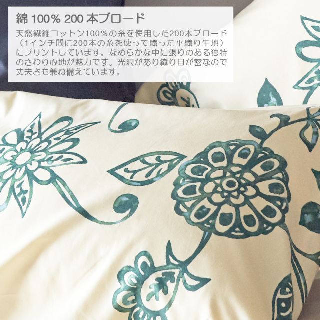 エイジア/ヴェルデ