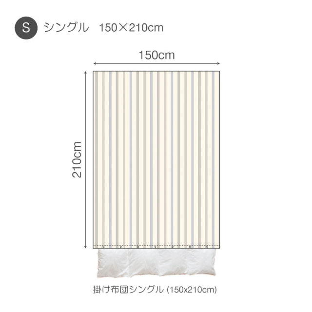 クリーム色ショートボード ストライプカバー付き ラックス ボールド ハイライズ ショートタイツ-Mod Saf / Lux