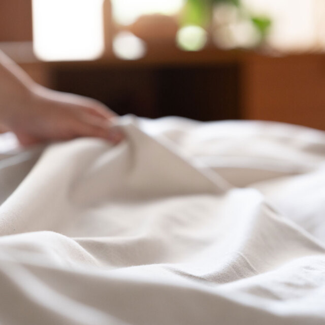 コットンビエラ/ストーン