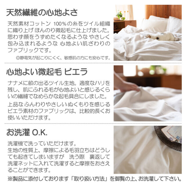 コットンビエラ　おすすめポイント