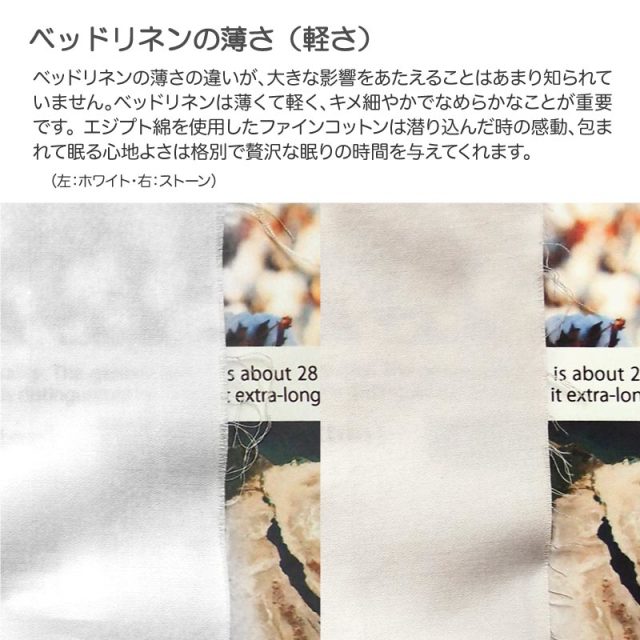 Fab the Home】ファインコットン Egyptian/ホワイト ボックス