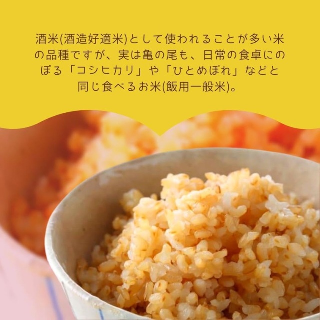 無農薬】【農薬・肥料・化学物質を一切使用していない安心安全の自然