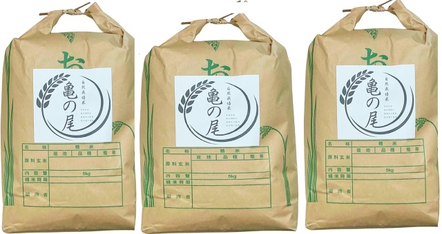 【新米：令和８年産 】玄米 亀の尾 ３０kg (10kgx３)| 自然栽培 [農薬,化学肥料,化学消毒剤,除草剤, 除虫剤不使用]青森県特別栽培米　11月上旬発送予定　2口で発送