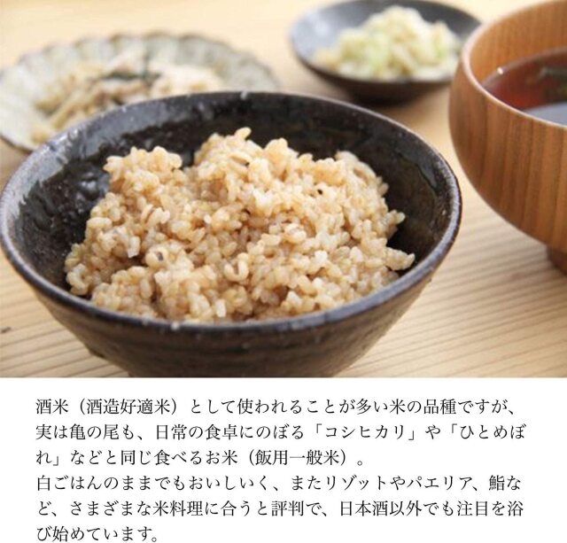 亀の尾　10kg 玄米　令和6年産　農薬不使用　肥料不使用　自然栽培米 楽天市場】玄米 亀ノ尾 10kg （5kg×2袋） 亀の尾 自然栽培米