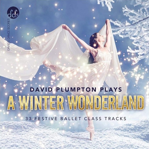 【35周年記念フェア】デヴィッド・プランプトン David Plumpton | Winter Wonderland (CD)