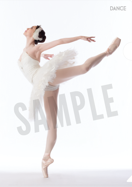 バレエダンサークリアファイル 上野水香「白鳥の湖」