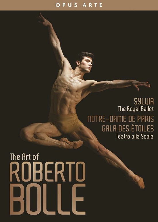 【期間限定DVD＆BDフェア】ロベルト・ボッレの芸術 (直輸入DVD BOX)