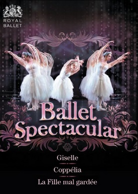 【期間限定DVD＆BDフェア】バレエ・スペクタキュラー BALLET SPECTACULAR (直輸入DVD-BOX)