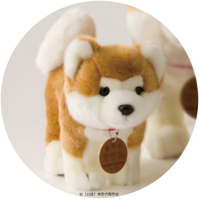 秋田犬マサル ぬいぐるみ（M) | バレエショップ フェアリー