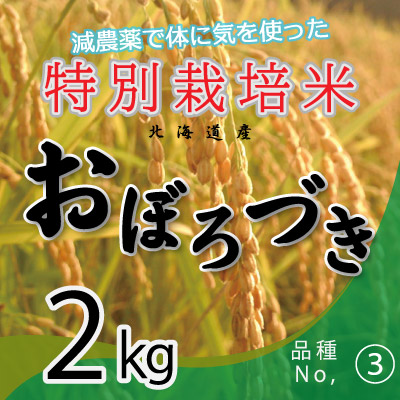 (3)令和7年産米 減農薬栽培 おぼろづき2kg