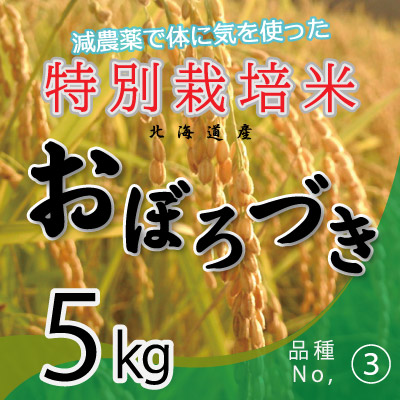 (3)令和7年産米 減農薬栽培 おぼろづき5kg
