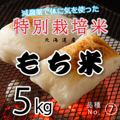 (7)令和6年産米 減農薬栽培 もち米5kg