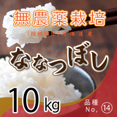 農家のお米☆2024年北海道産10kg☆精米☆送料込み 令和7年産《新米先行受付》【定期便(10kg×3カ月)】【無洗米