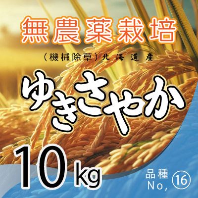(16)令和6年産米 無農薬栽培 ゆきさやか10kg